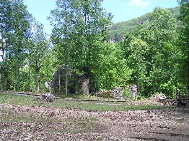 101 Savage Point Road Dunlap, TN 37327 - Photo 3 of 20 Additional Photo