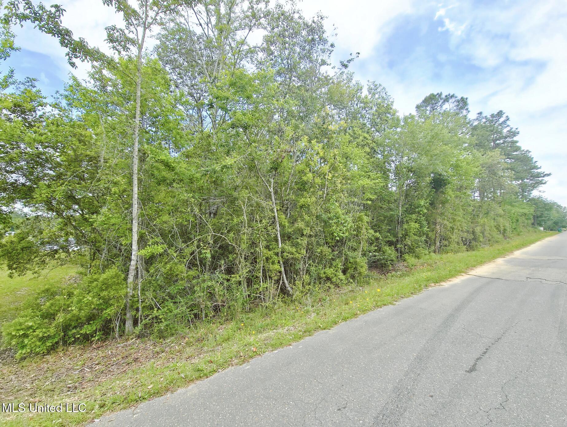 West Riverline Drive Saucier, MS 39574 - Photo 2 of 5 Screenshot 2025-04-26 at 10.40.15 AM