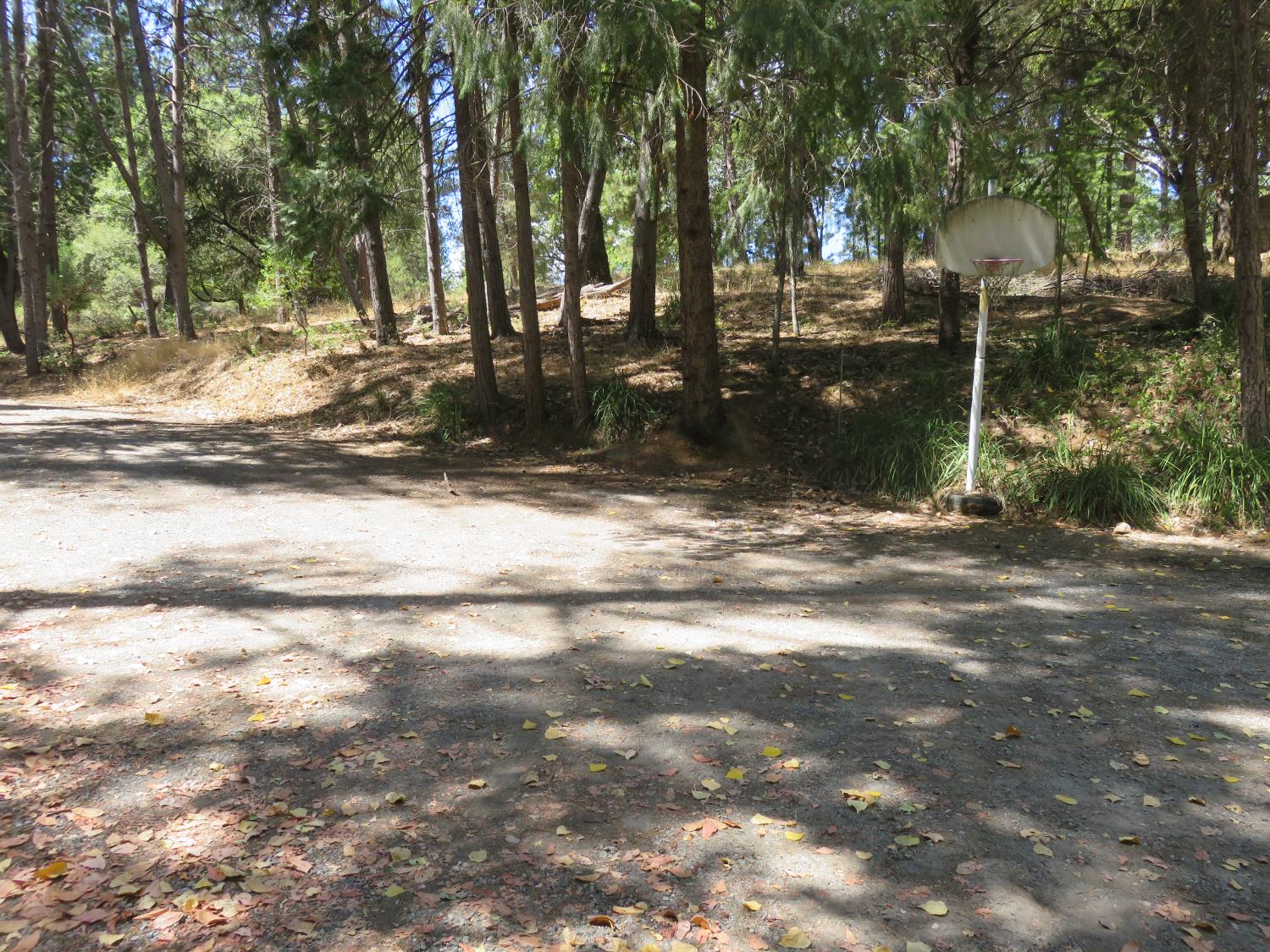 2563 Woodhouse Mine Road West Point, CA 95255 - Photo 17 of 49 a backyard of a house with lots of green space