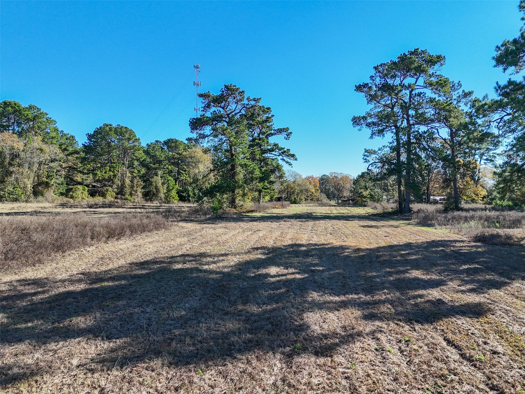 15633 1st Street Splendora, TX 77372 - Photo 12 of 19 a view of dirt yard with a large tree