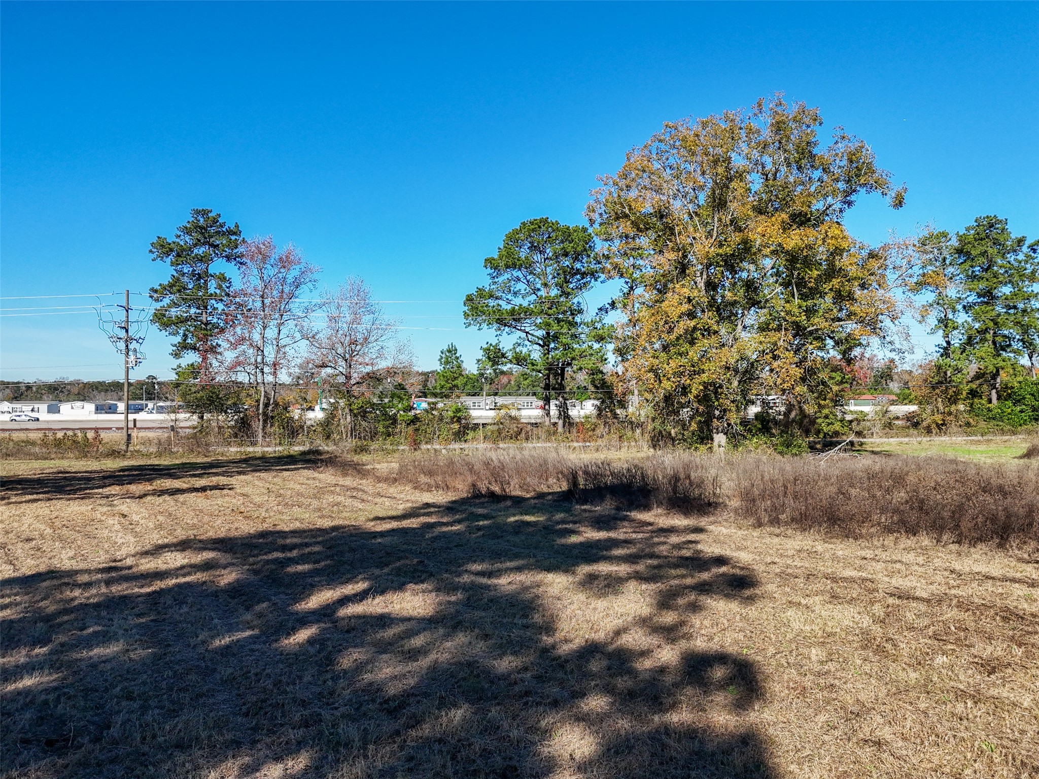 15633 1st Street Splendora, TX 77372 - Photo 14 of 19 a view of a yard