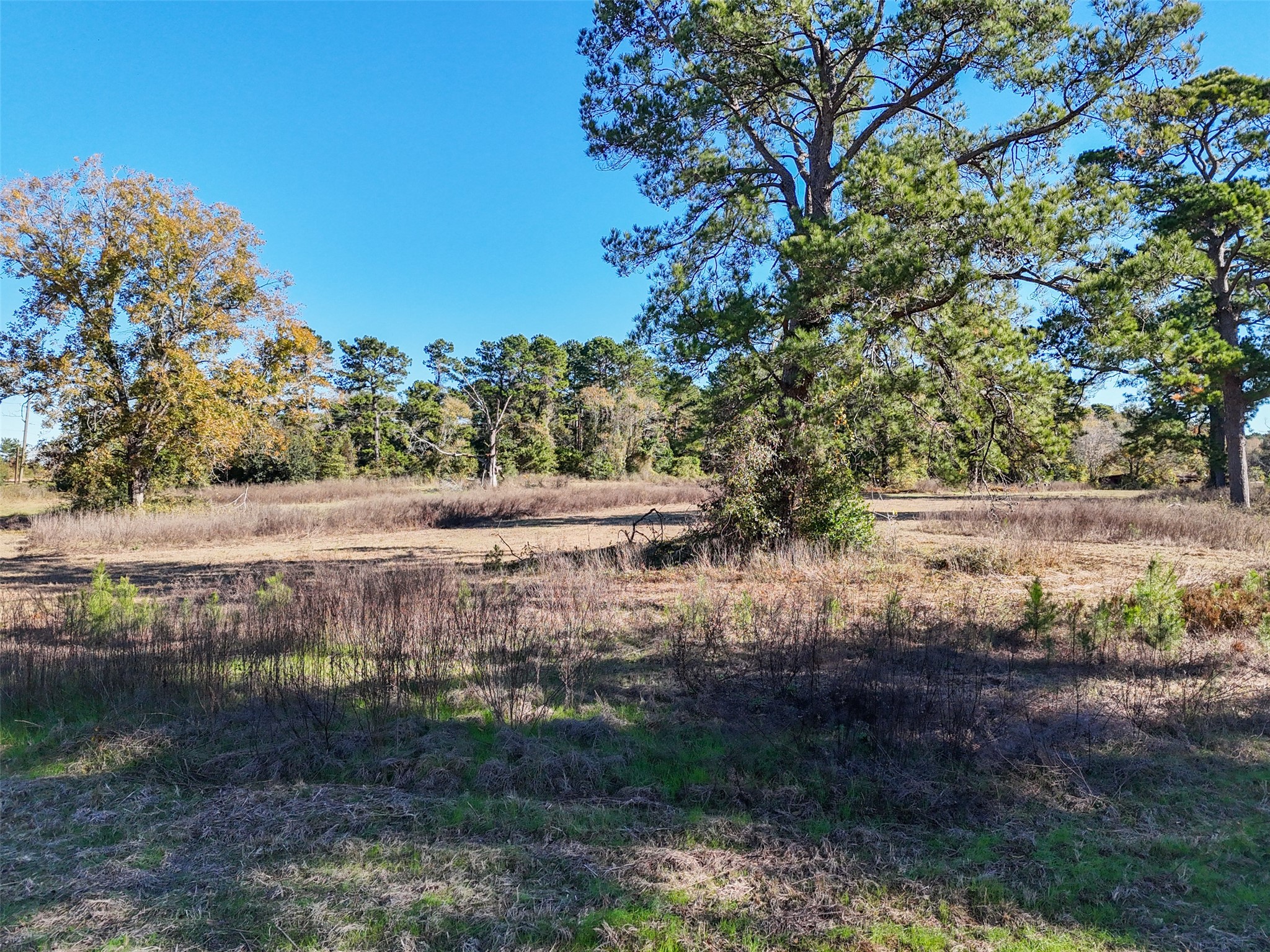 15633 1st Street Splendora, TX 77372 - Photo 10 of 19