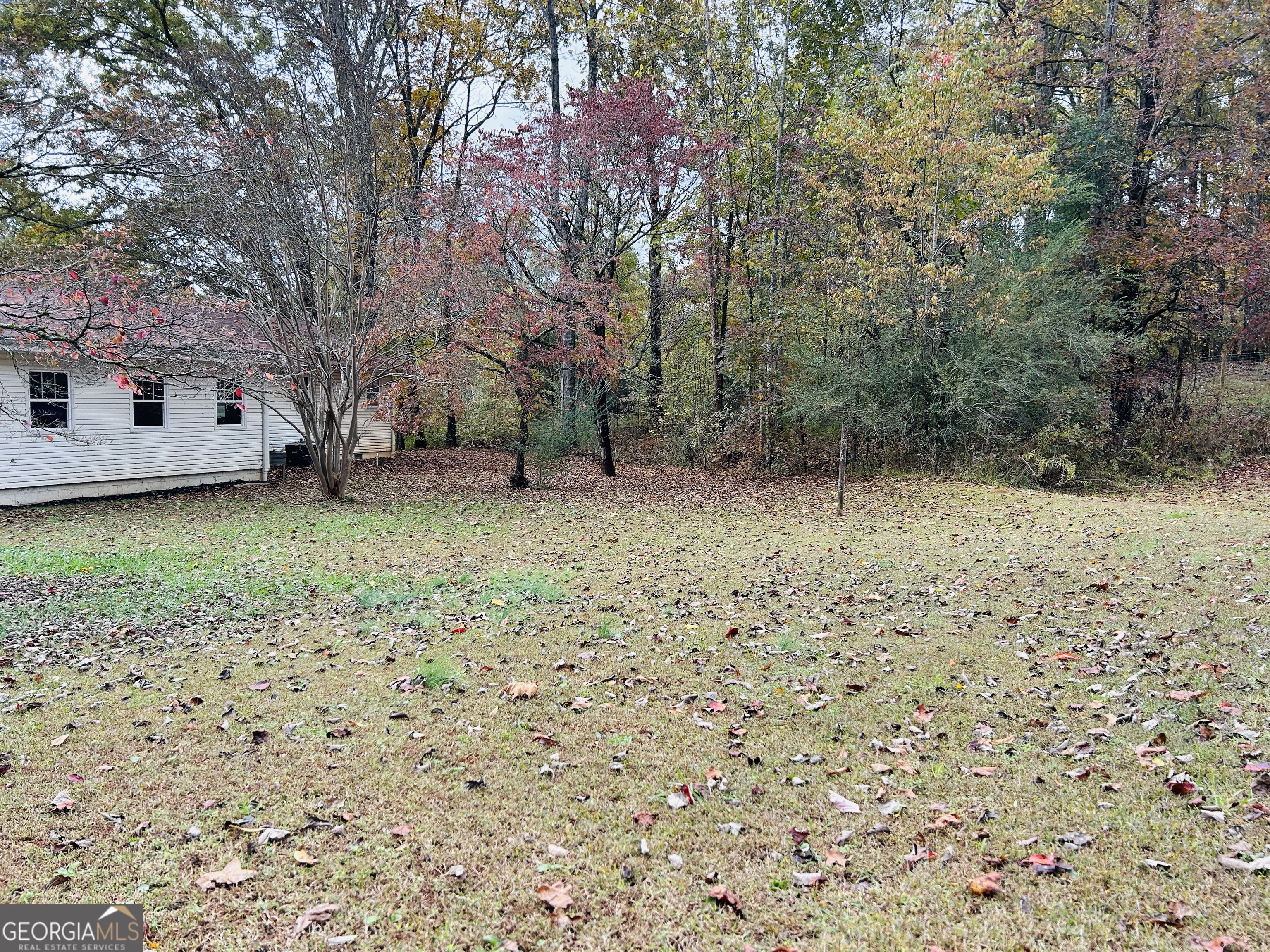 3077 Alec Mountain Road Clarkesville, GA 30523 - Photo 33 of 35 a view of a yard with trees