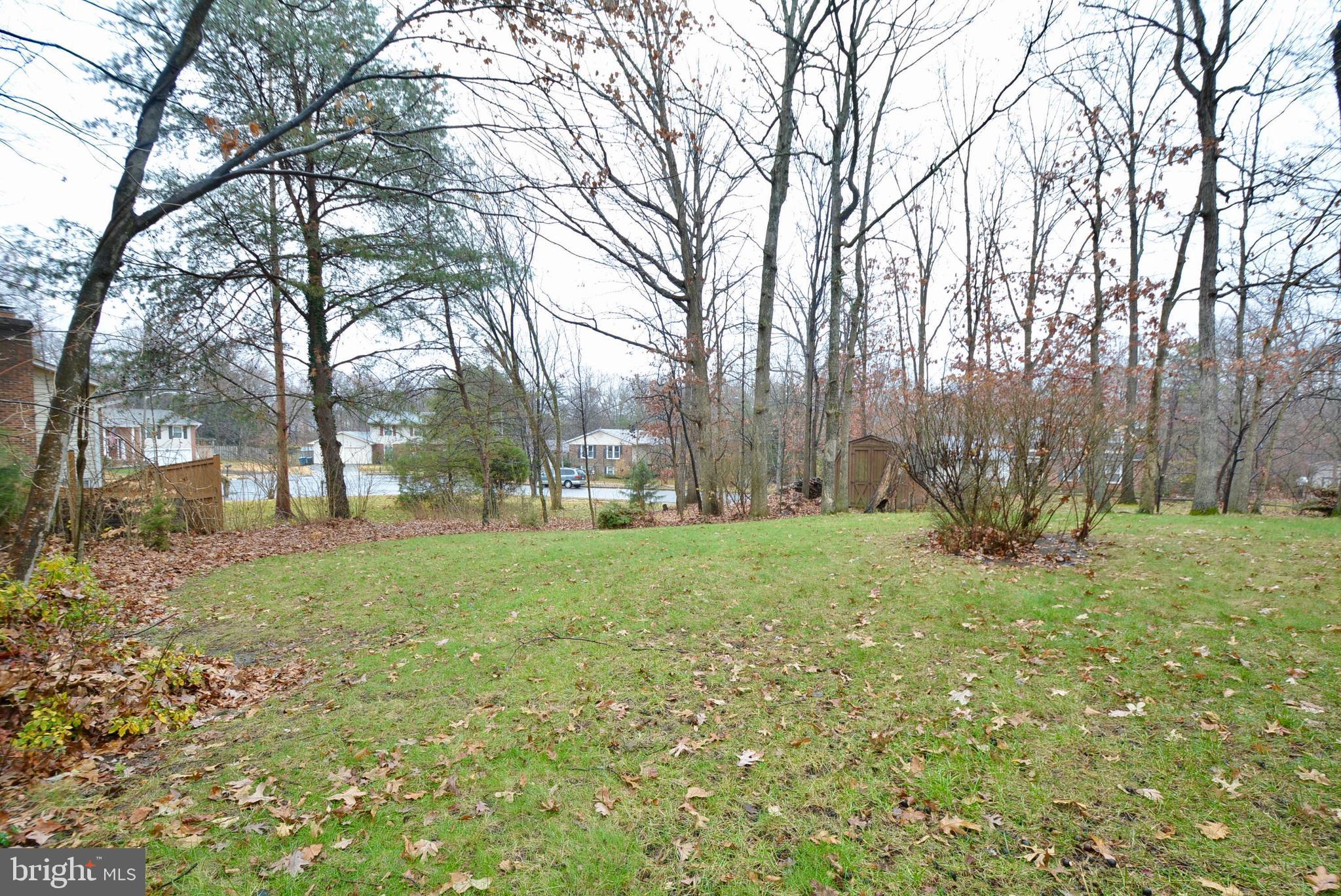 6911 Rochambeau Place Springfield, VA 22153 - Photo 44 of 45 Back Yard