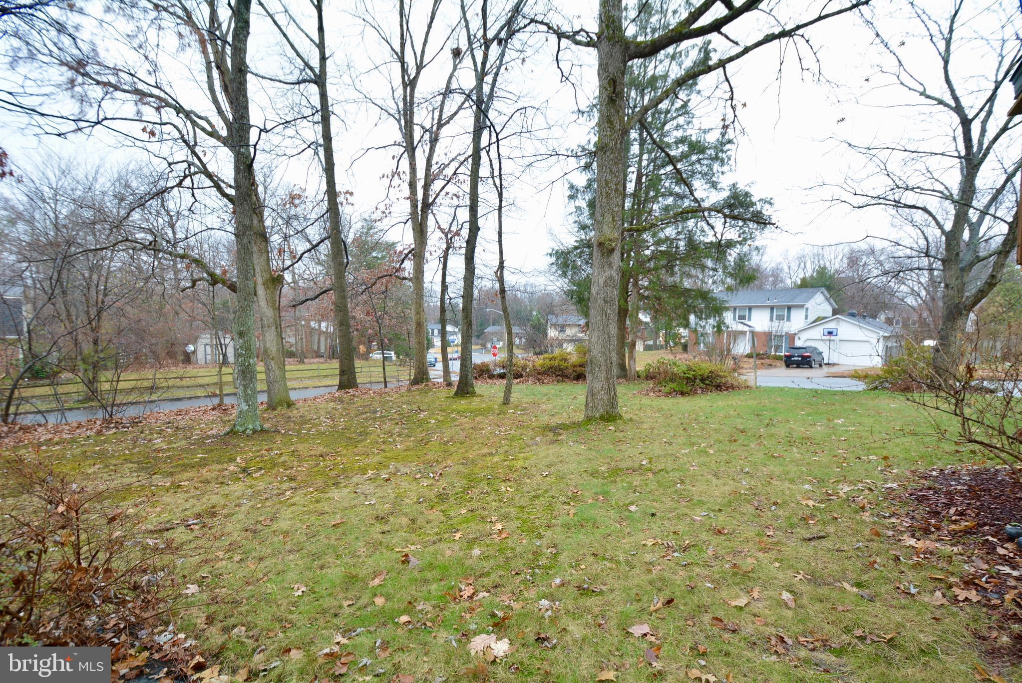 6911 Rochambeau Place Springfield, VA 22153 - Photo 45 of 45 Back Yard