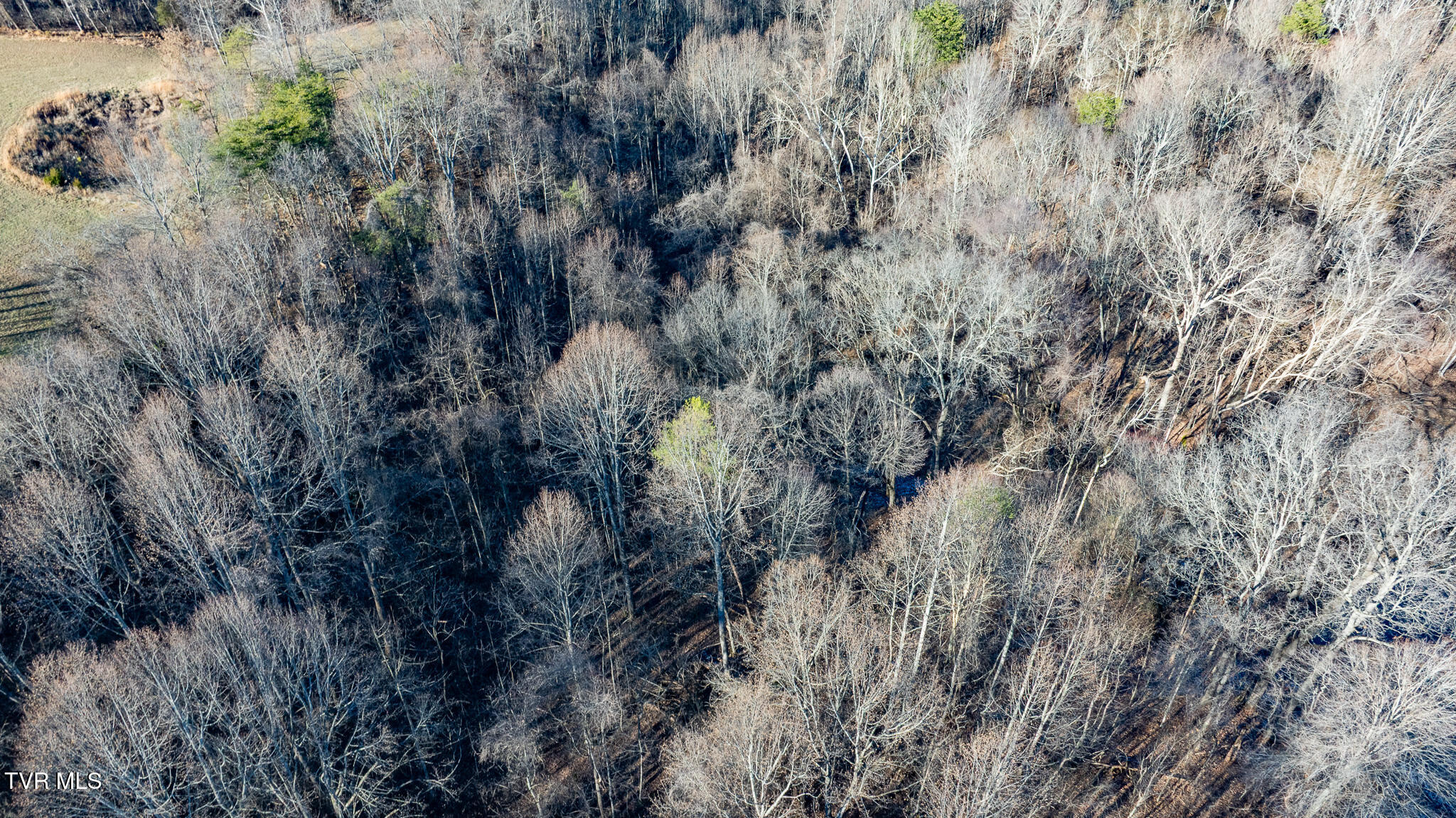 Tbd Phillips Road Jonesborough, TN 37659 - Photo 4 of 7 dji_fly_20251216_150424_0792_17659157606
