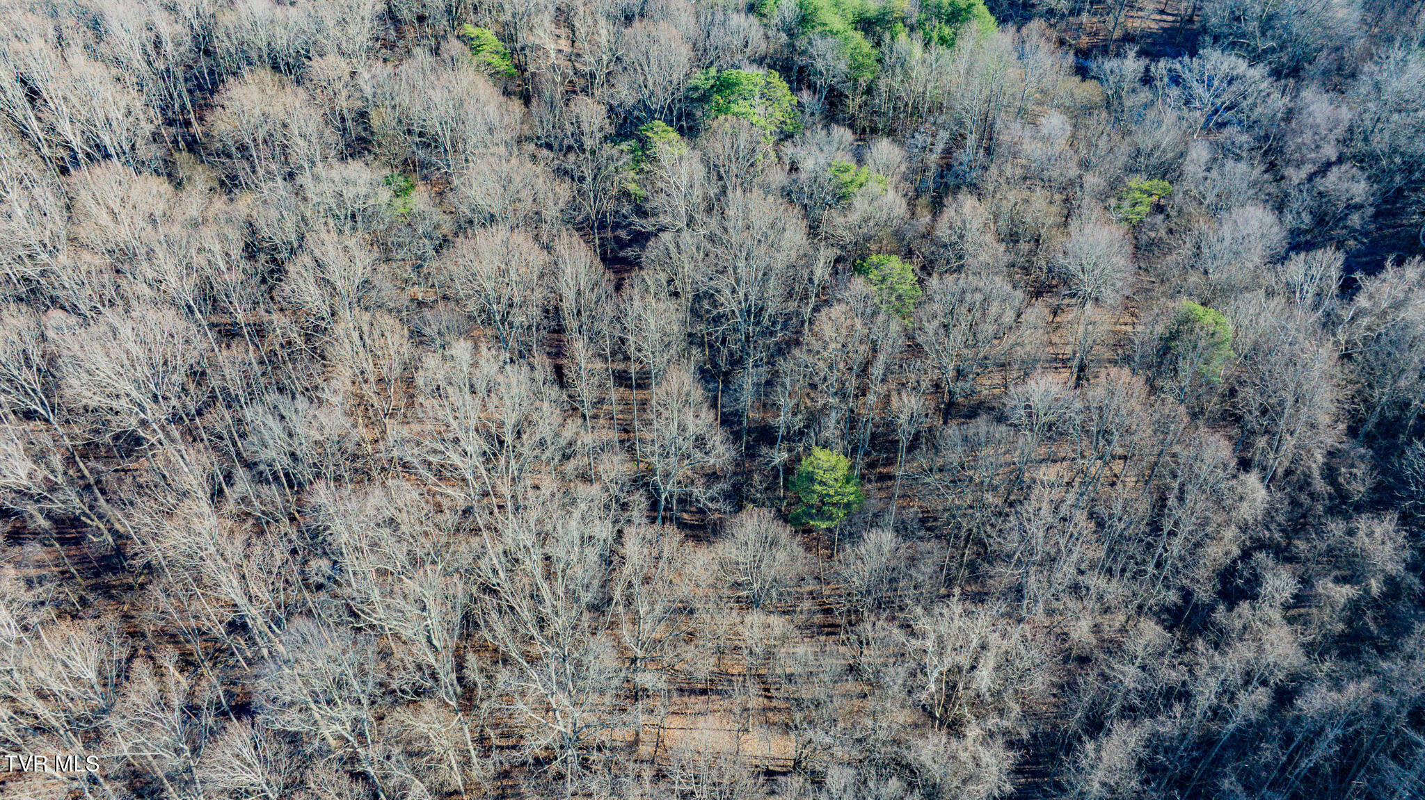 Tbd Phillips Road Jonesborough, TN 37659 - Photo 5 of 7 dji_fly_20251216_150640_0807_17659157557