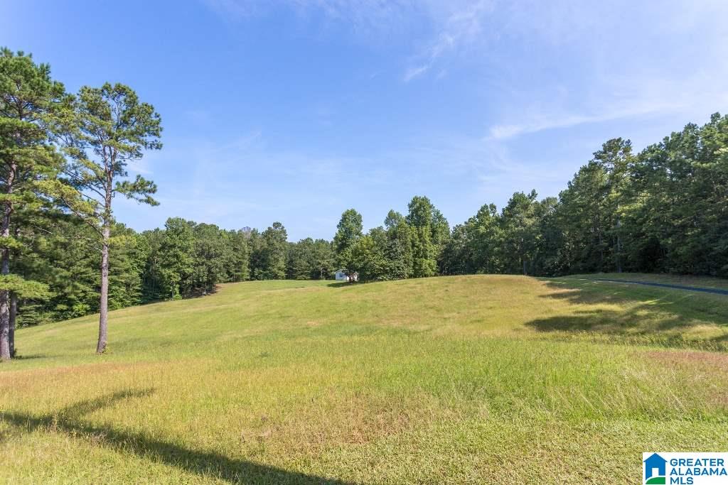 453 Howle Street Heflin, AL 36264 - Photo 44 of 50