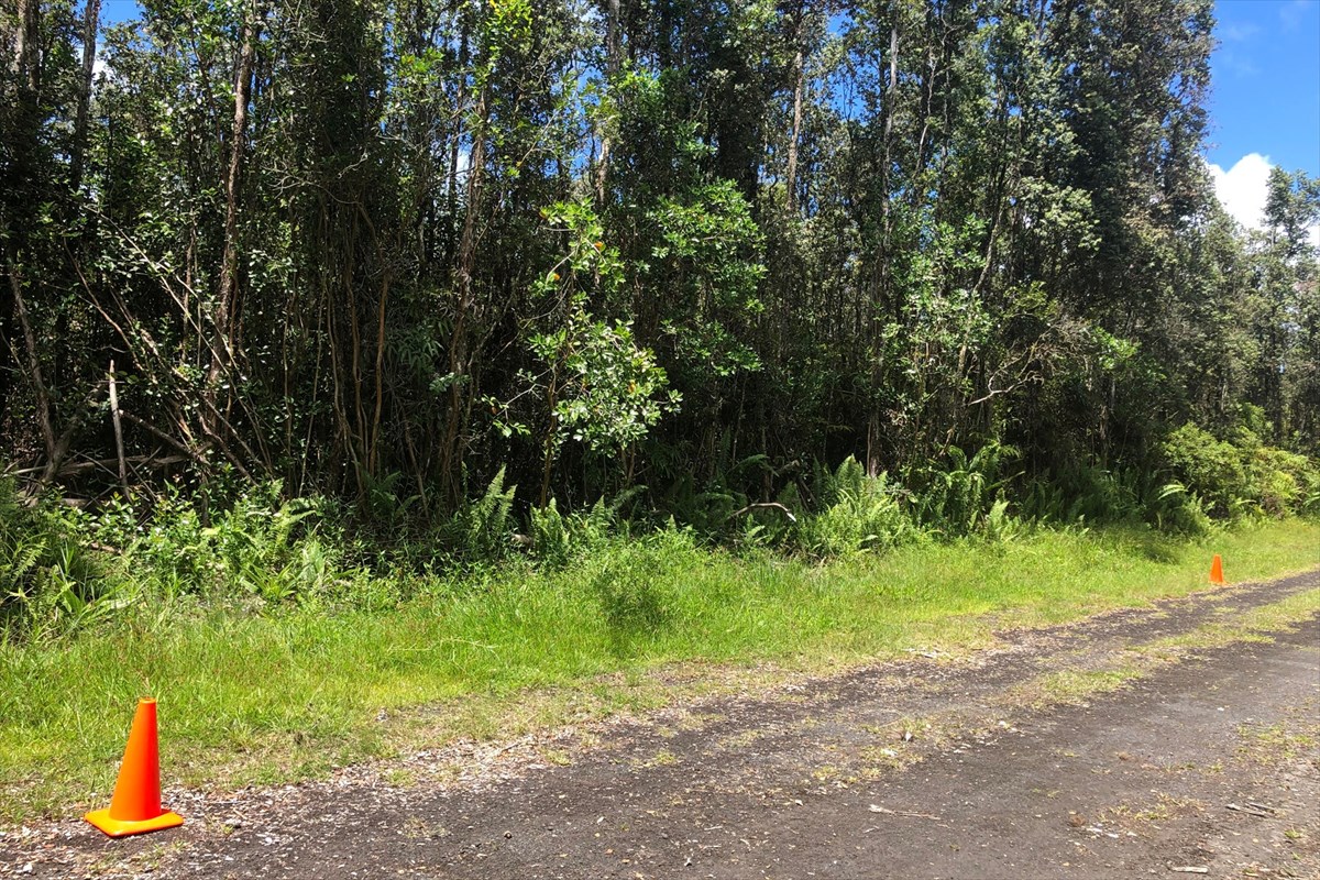399 Kailua Road Pahoa, HI 96778 - Photo 4 of 24 Gallery Image 4