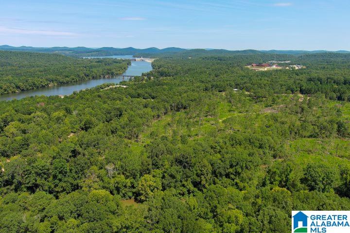 209 Harts Ferry Road, Unit 3 Ohatchee, AL 36271 - Photo 3 of 24