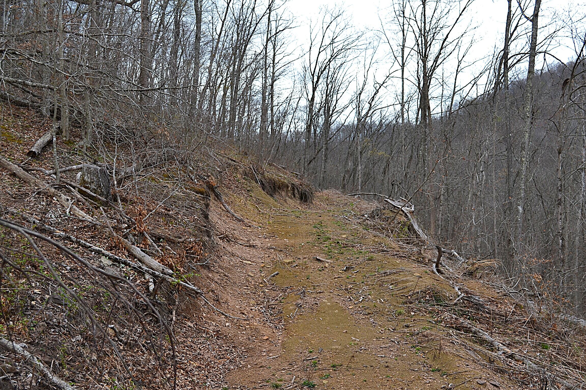 Snake Run Road Alderson, WV 24910 - Photo 24 of 24 Trail View