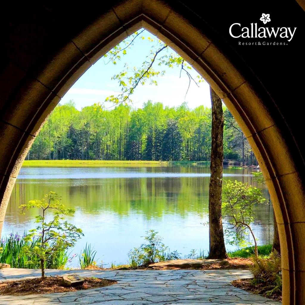 202 White Oak Road Pine Mountain, GA 31822 - Photo 57 of 70 a view of swimming pool from a window