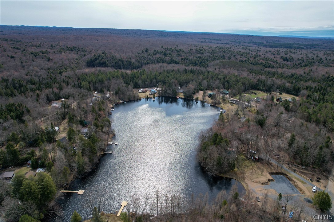 Lot 21 Deep Lake Road Forestport, NY 13338 - Photo 31 of 37