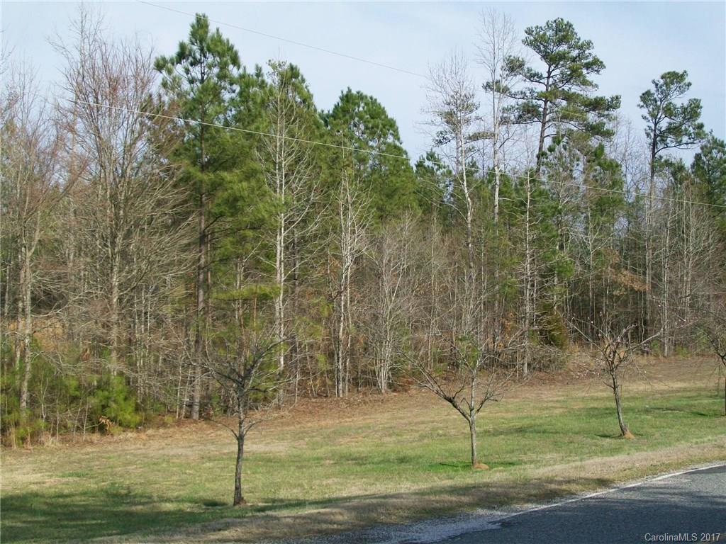 3856 Wilson Chapel Road Sharon, SC 29742 - Photo 3 of 11