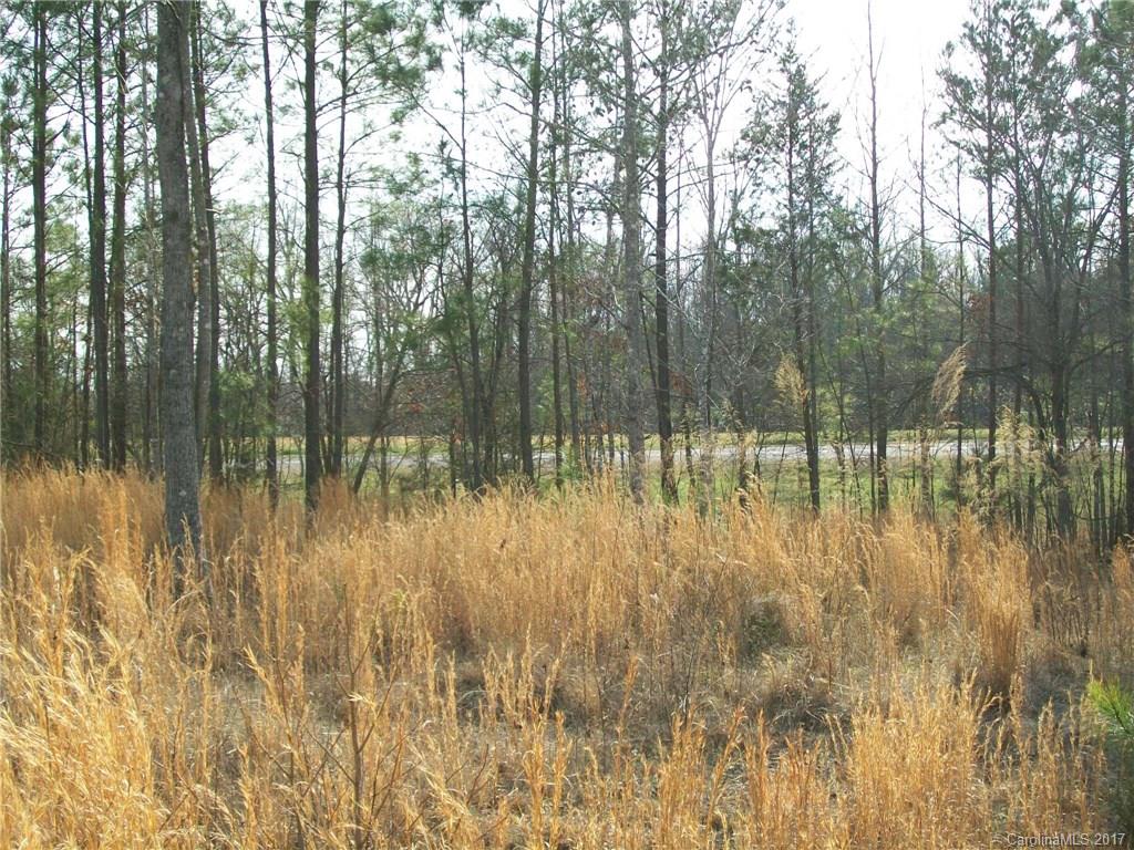 3856 Wilson Chapel Road Sharon, SC 29742 - Photo 6 of 11