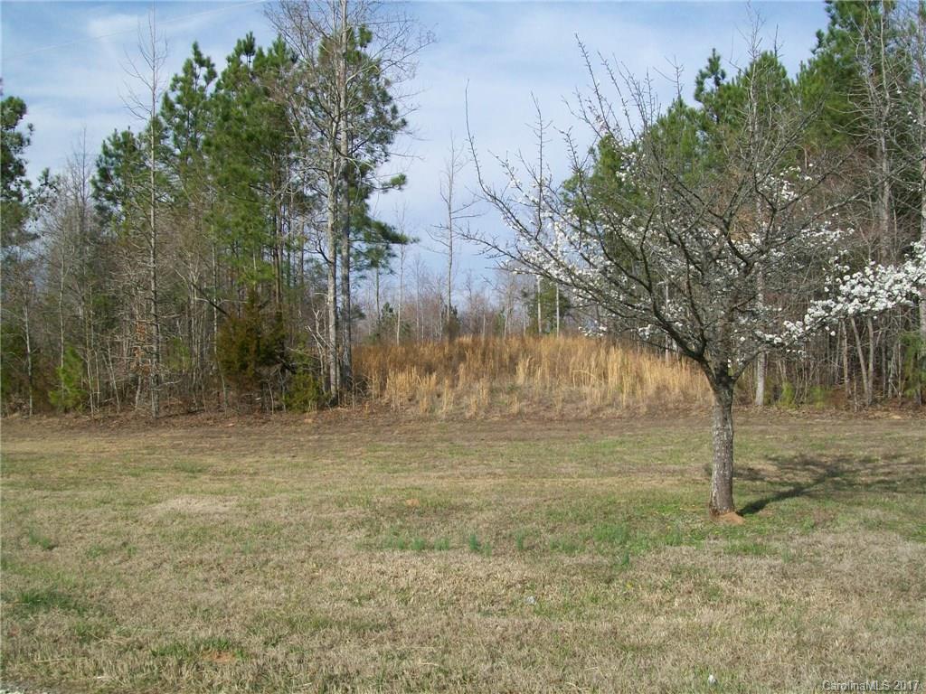 3856 Wilson Chapel Road Sharon, SC 29742 - Photo 7 of 11