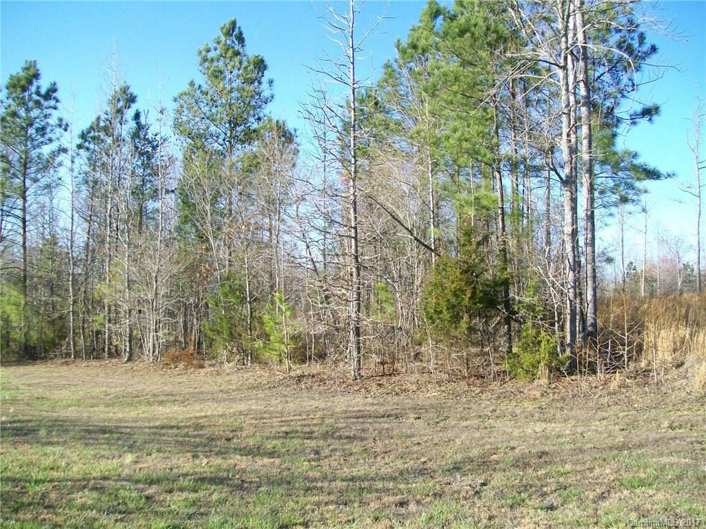 3856 Wilson Chapel Road Sharon, SC 29742 - Photo 8 of 11