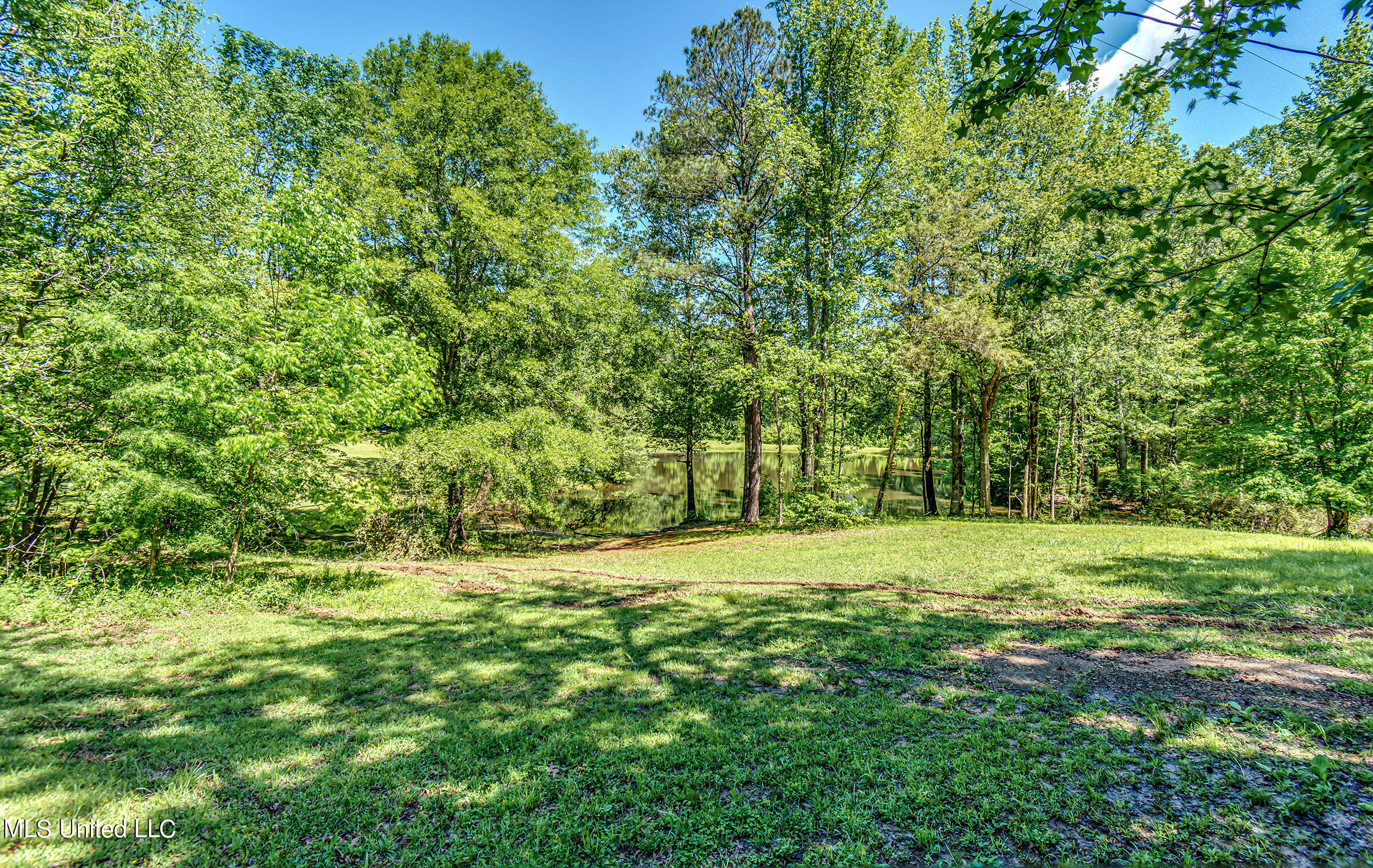 133 Paradise Road Yazoo City, MS 39194 - Photo 8 of 54 133 Paradise Road--9