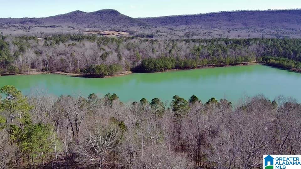 150 Ridgewood Lane Odenville, AL 35120 - Photo 22 of 32 Gallery Image 22