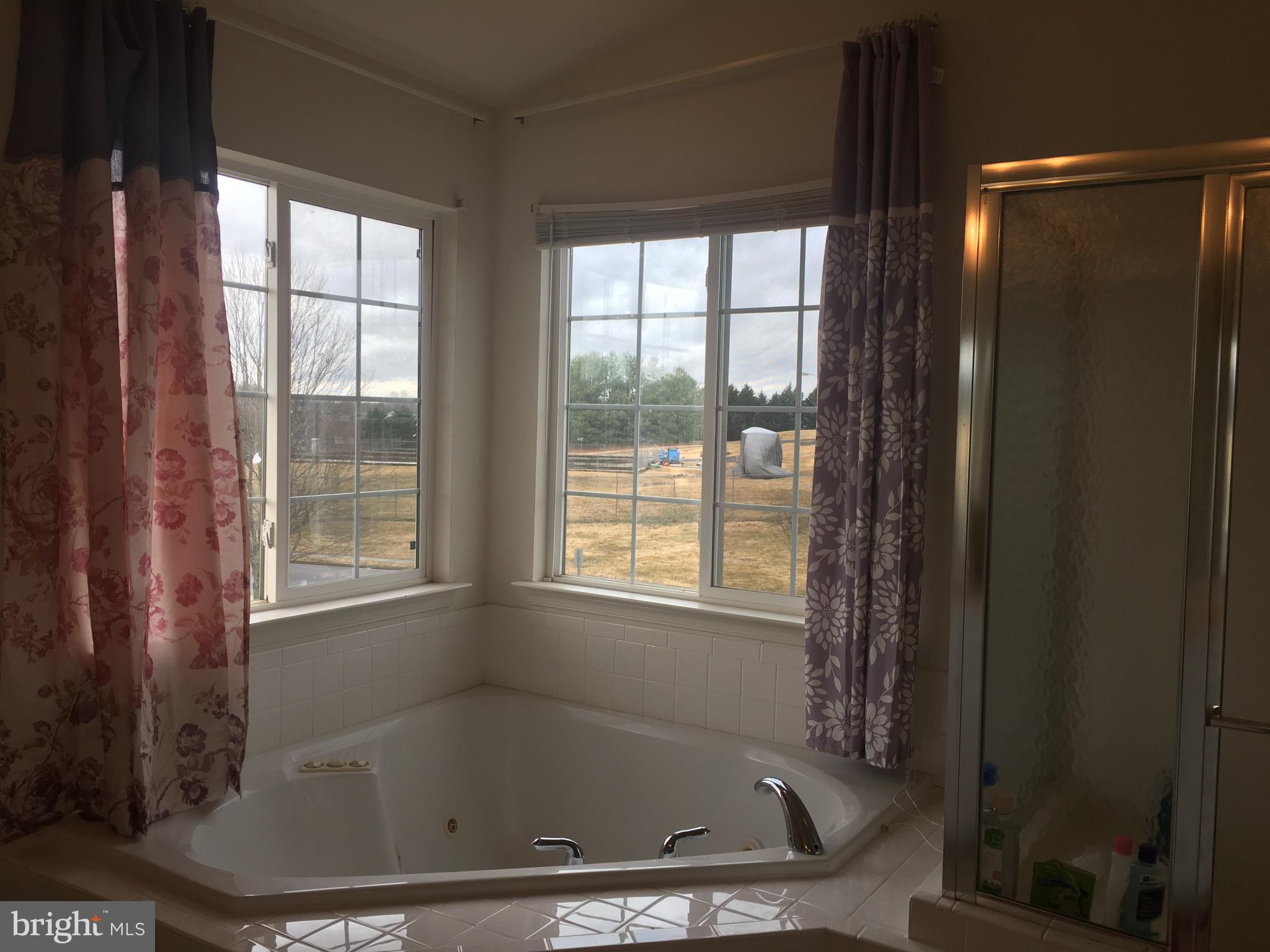 856 Fox Den Road Culpeper, VA 22701 - Photo 14 of 29 Bath (Master)