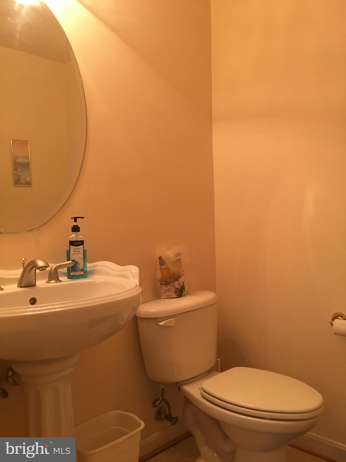 856 Fox Den Road Culpeper, VA 22701 - Photo 21 of 29 Bath