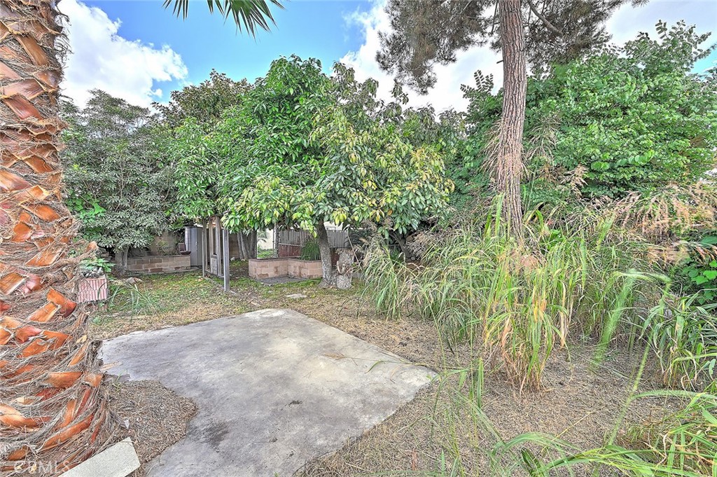 9118 Maple Street Bellflower, CA 90706 - Photo 58 of 74 a view of a yard with plants and trees