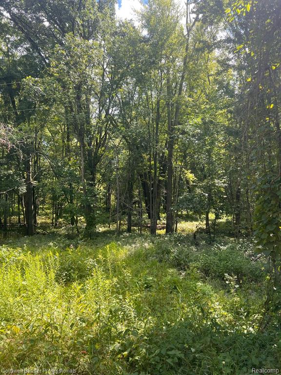 0 West Castle Road Fostoria, MI 48435 - Photo 1 of 13