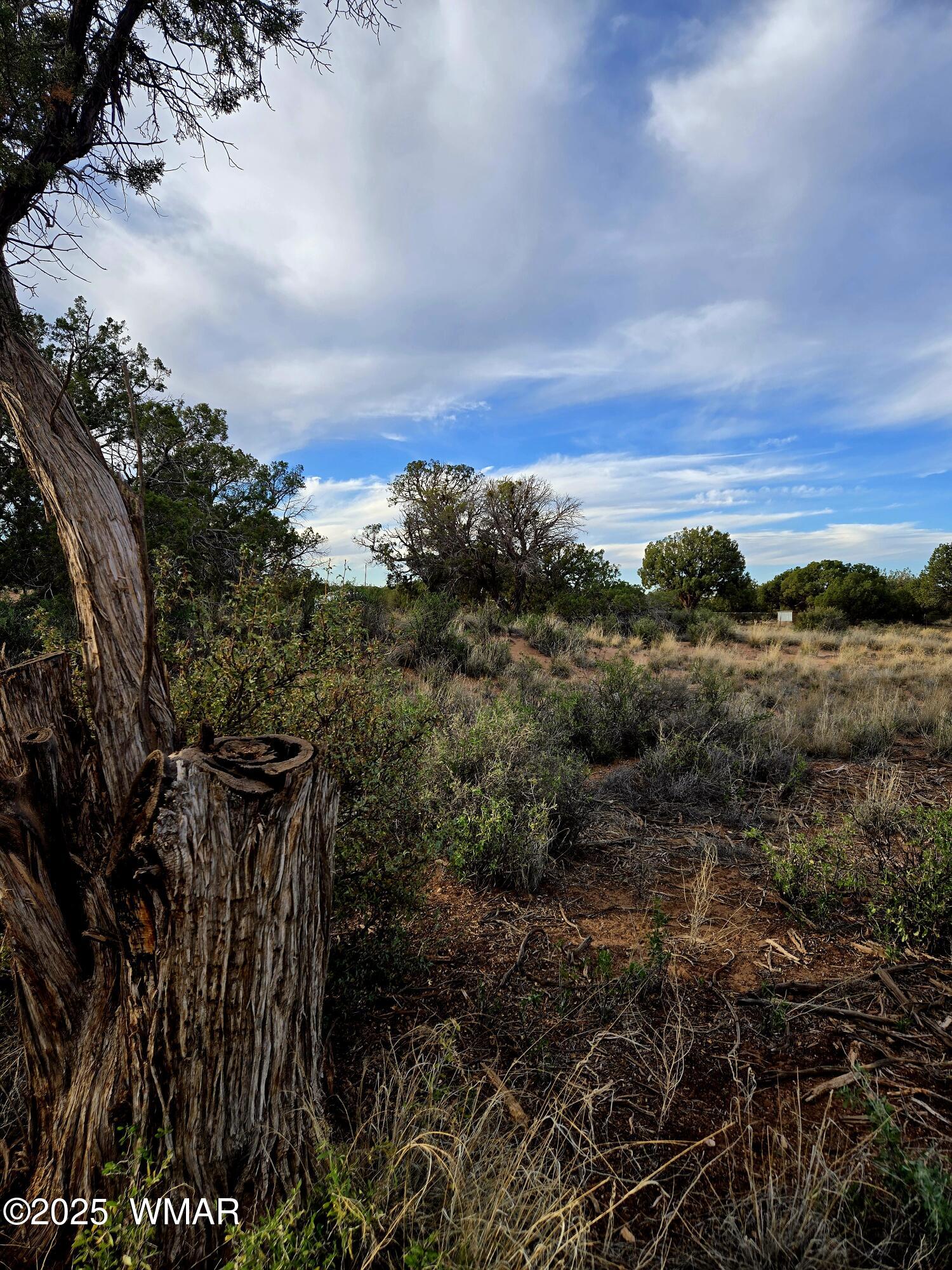 4360-4366 East Pinto Road Snowflake, AZ 85937 - Photo 5 of 9 20251108_160337 (1)