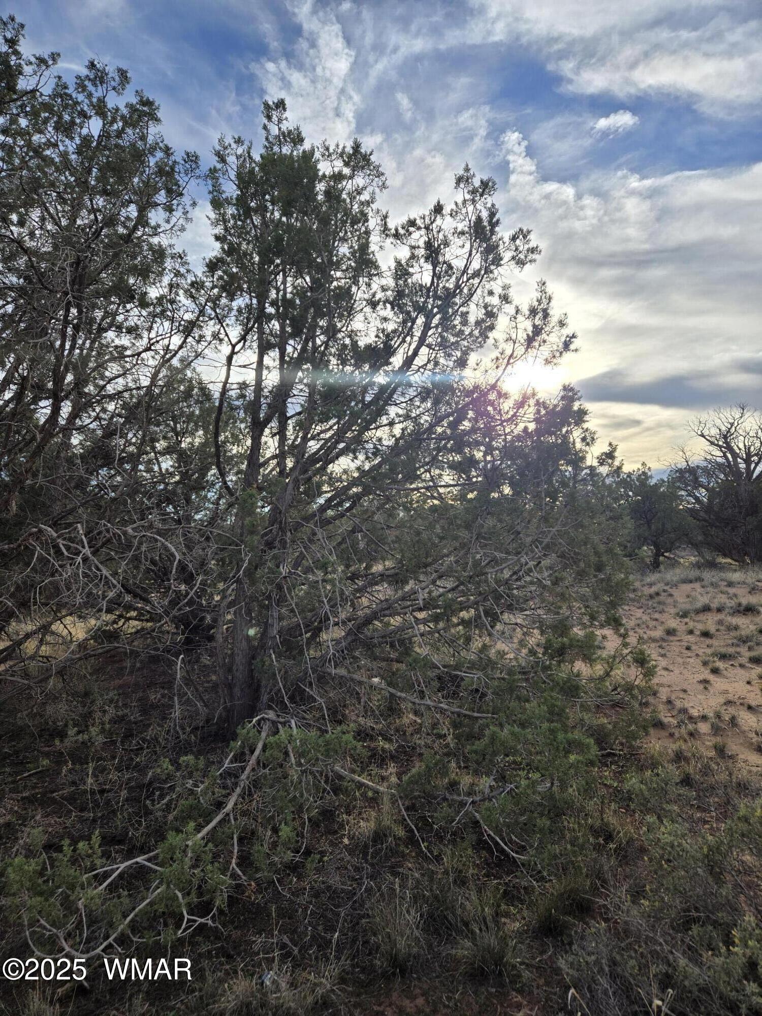 4360-4366 East Pinto Road Snowflake, AZ 85937 - Photo 6 of 9 20251108_160314