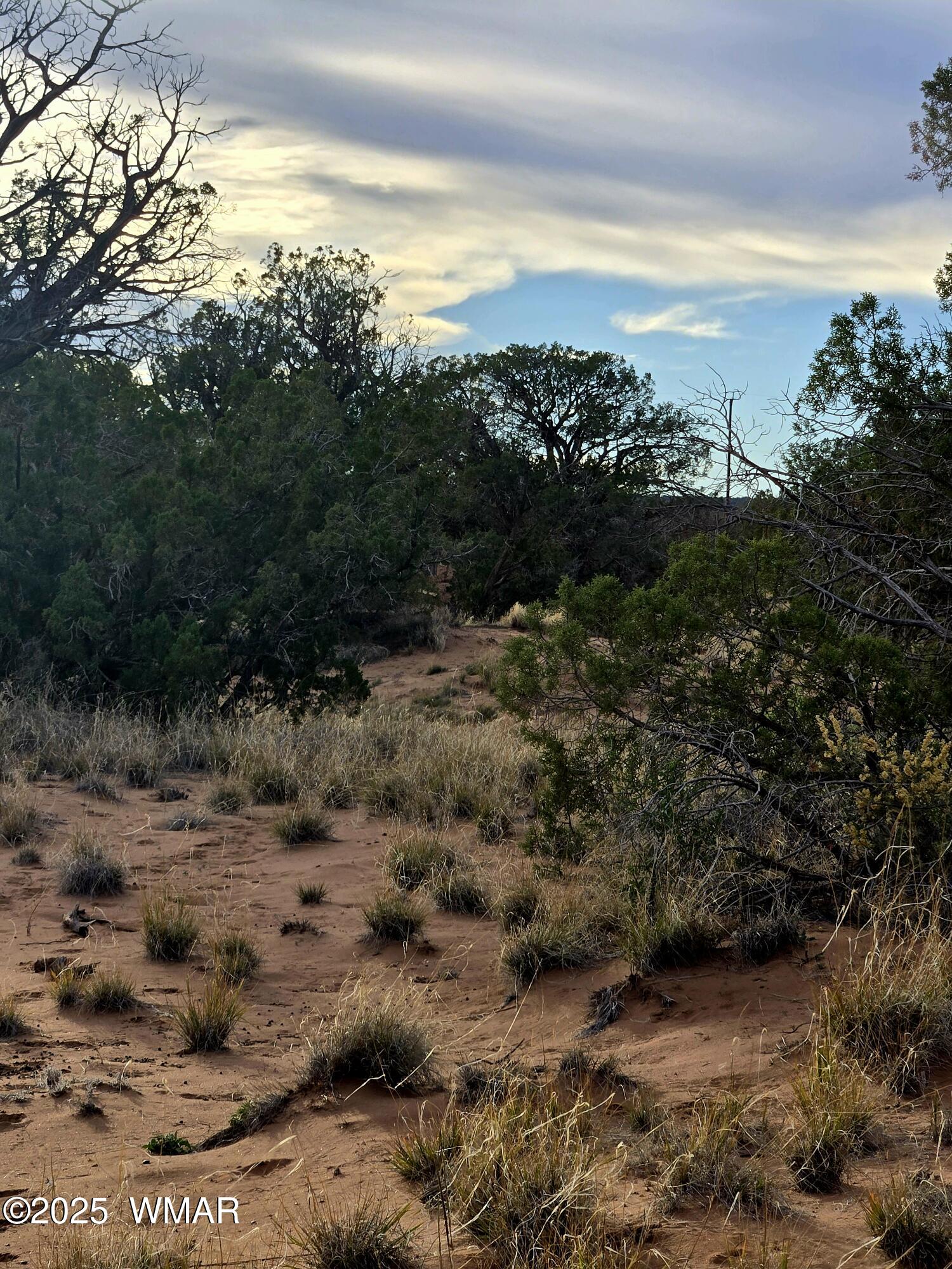 4360-4366 East Pinto Road Snowflake, AZ 85937 - Photo 7 of 9 20251108_160401