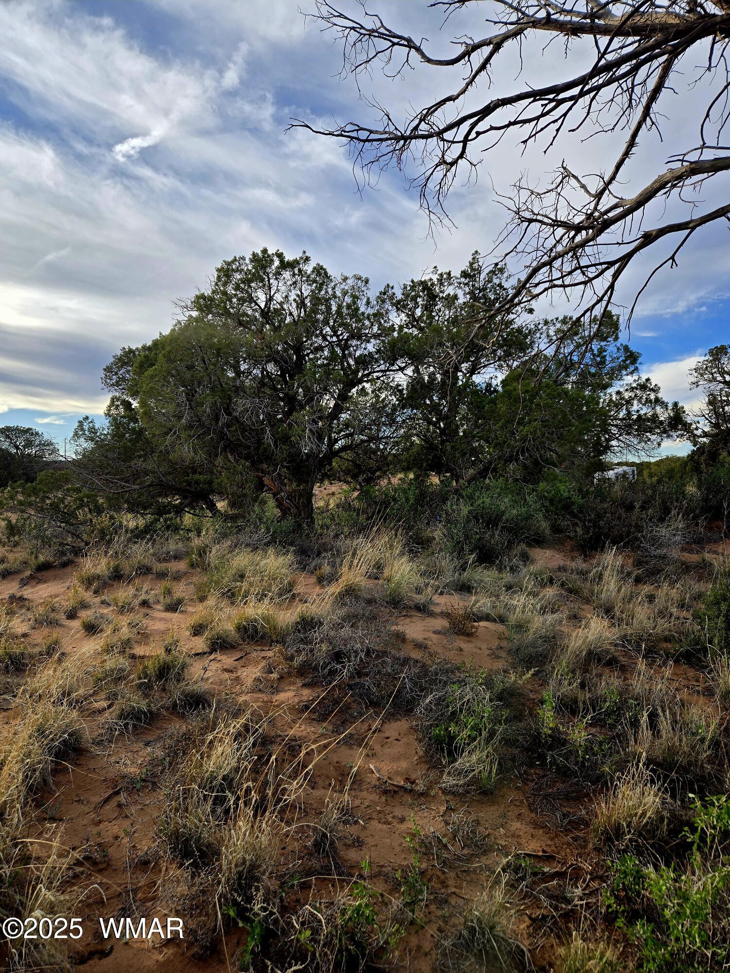 4360-4366 East Pinto Road Snowflake, AZ 85937 - Photo 8 of 9 20251108_160355