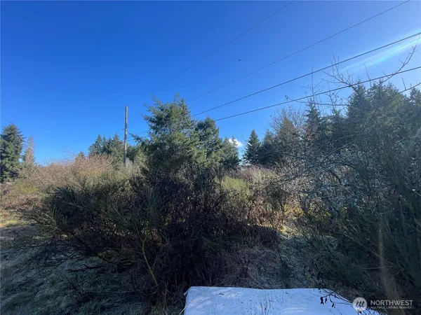 $150,000 | 0 222nd Street East, Graham, WA 98338