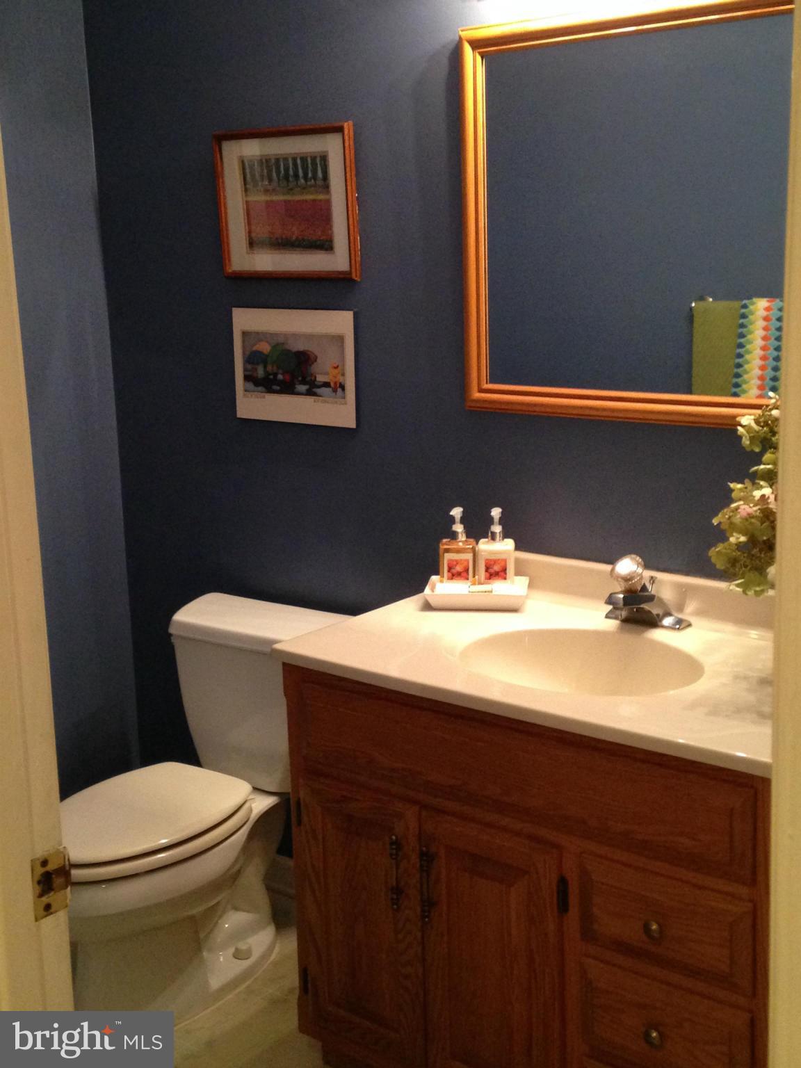 18608 Upper Beckleysville Road Hampstead, MD 21074 - Photo 20 of 29 a bathroom with a toilet a sink and mirror