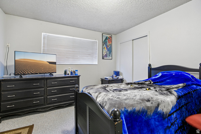 768 300 North Provo, UT 84606 - Photo 31 of 51 Window with horizontal blinds, built-in sliding closet, and textured ceiling