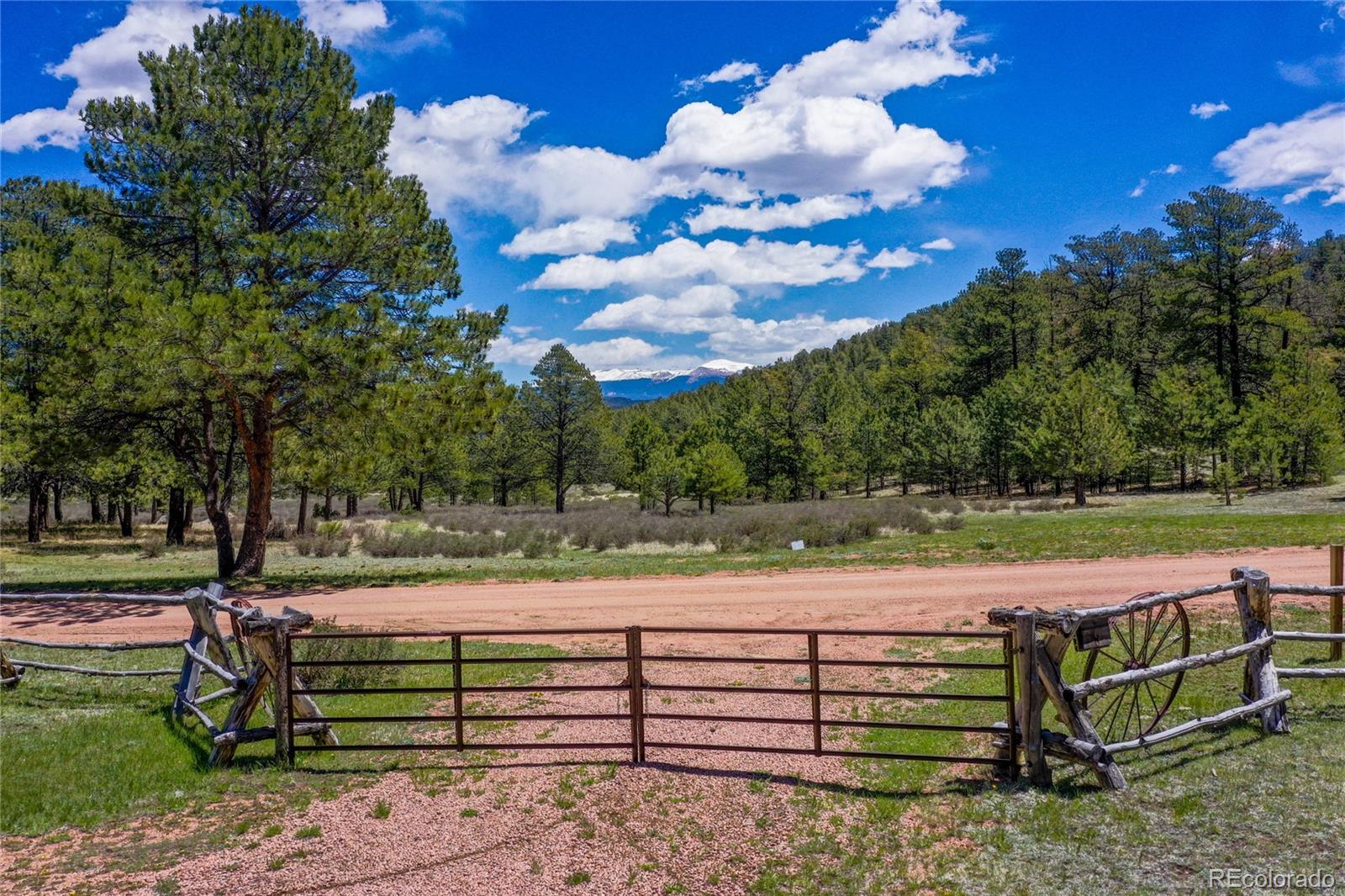 437 Langnis Road Guffey, CO 80820 - Photo 2 of 33 a view of a yard with wooden fence