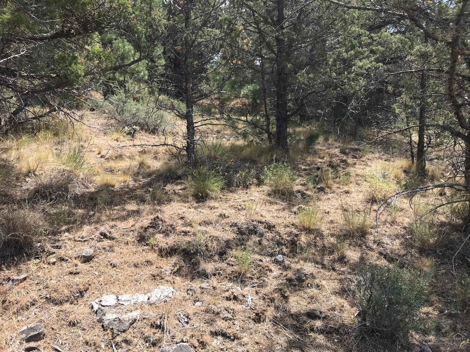 0 Southeast Thomas Road Prineville, OR 97754 - Photo 12 of 23 Additional Photo