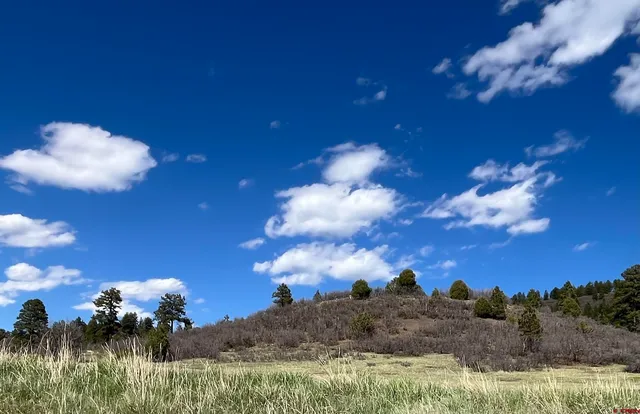 $29,500 | 180 Dylan Drive, Pagosa Springs, CO 81147