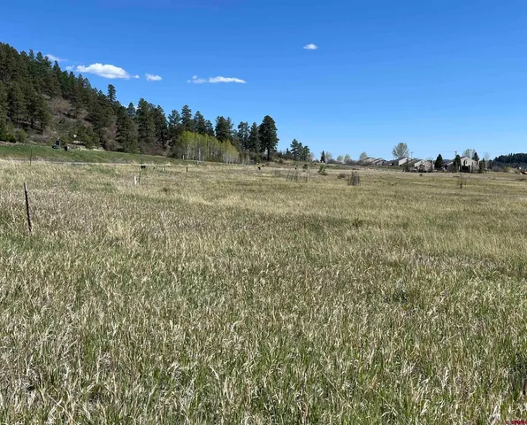 $29,500 | 180 Dylan Drive, Pagosa Springs, CO 81147