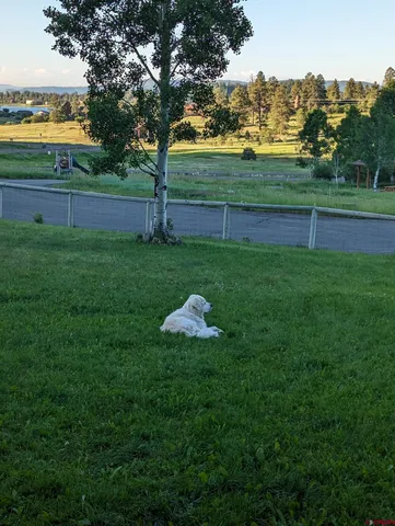 $29,500 | 180 Dylan Drive, Pagosa Springs, CO 81147