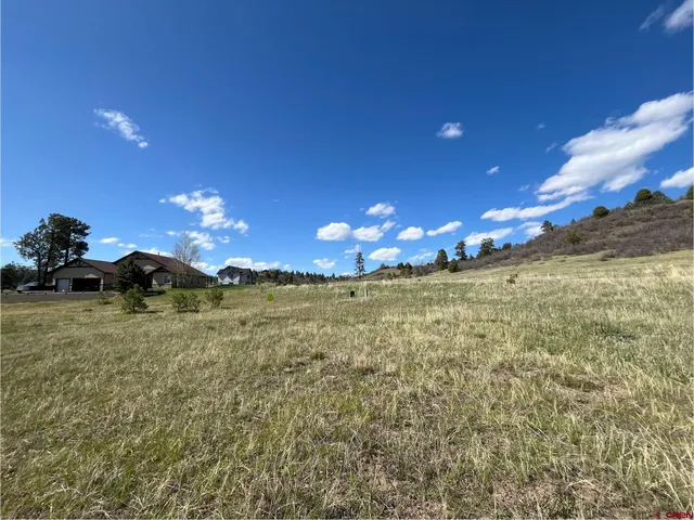 $29,500 | 180 Dylan Drive, Pagosa Springs, CO 81147
