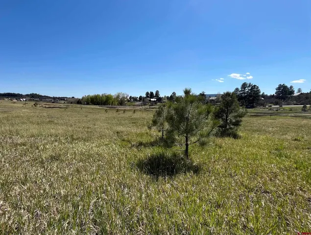 $29,500 | 180 Dylan Drive, Pagosa Springs, CO 81147