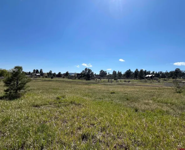 $29,500 | 180 Dylan Drive, Pagosa Springs, CO 81147