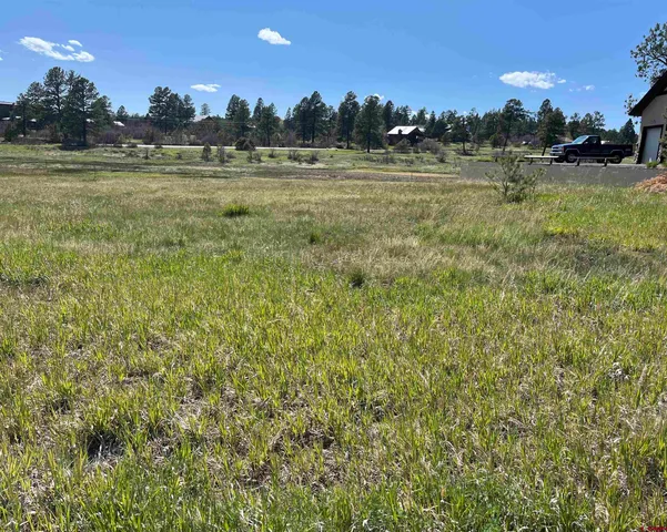 $29,500 | 180 Dylan Drive, Pagosa Springs, CO 81147