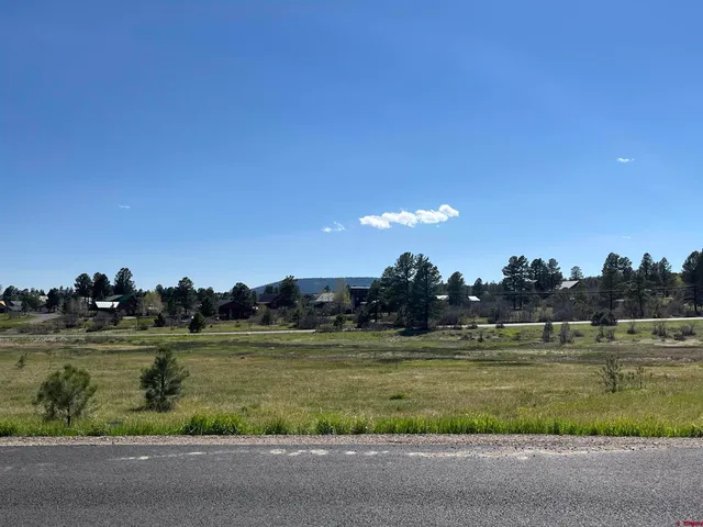 $29,500 | 180 Dylan Drive, Pagosa Springs, CO 81147
