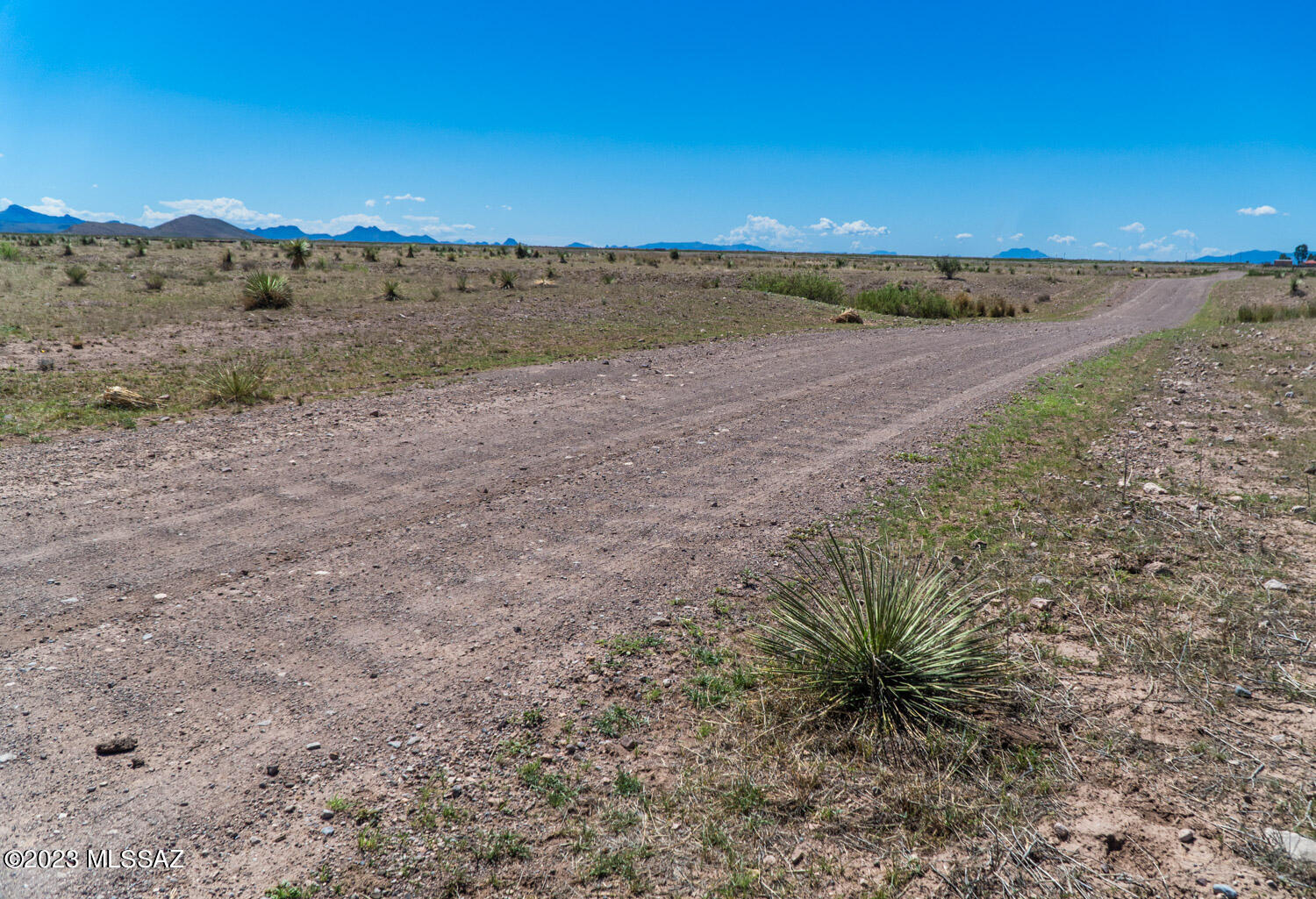 40-acres North Ee Ranch Road, Unit 2913 McNeal, AZ 85617 - Photo 7 of 14 Gallery Image 7