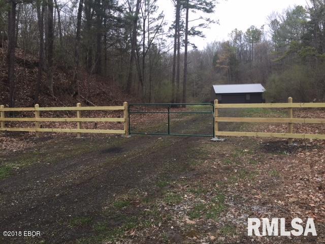21048 Buffalo Lick Road Marion, IL 62959 - Photo 1 of 5