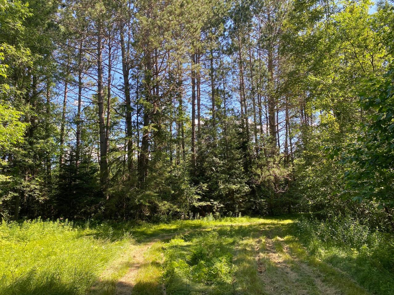 W2142 Axen Road Gleason, WI 54435 - Photo 47 of 50 Gallery Image 47