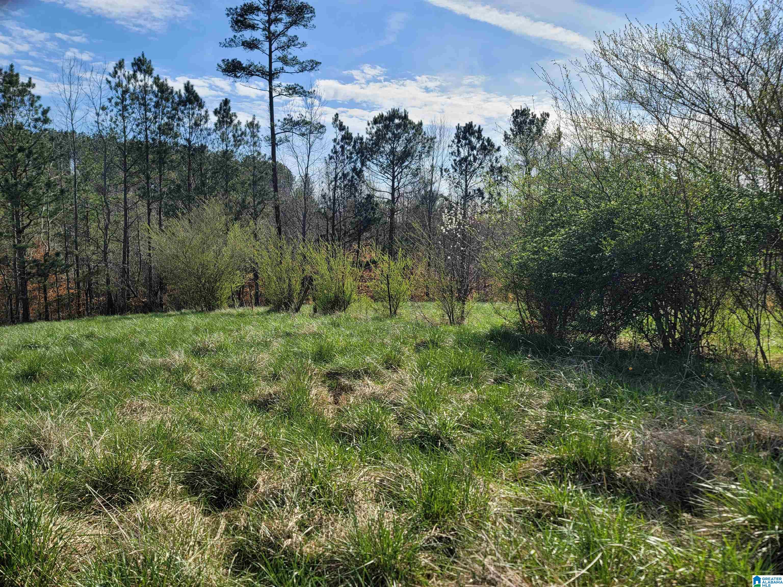 208 County Road, Unit 23 Muscadine, AL 36269 - Photo 2 of 11