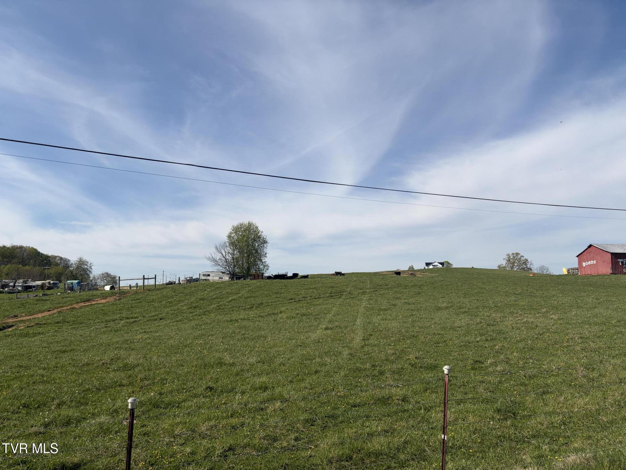 Lot 8 Ward Rowe Road, Unit 8 Limestone, TN 37681 - Photo 7 of 12 IMG_3921