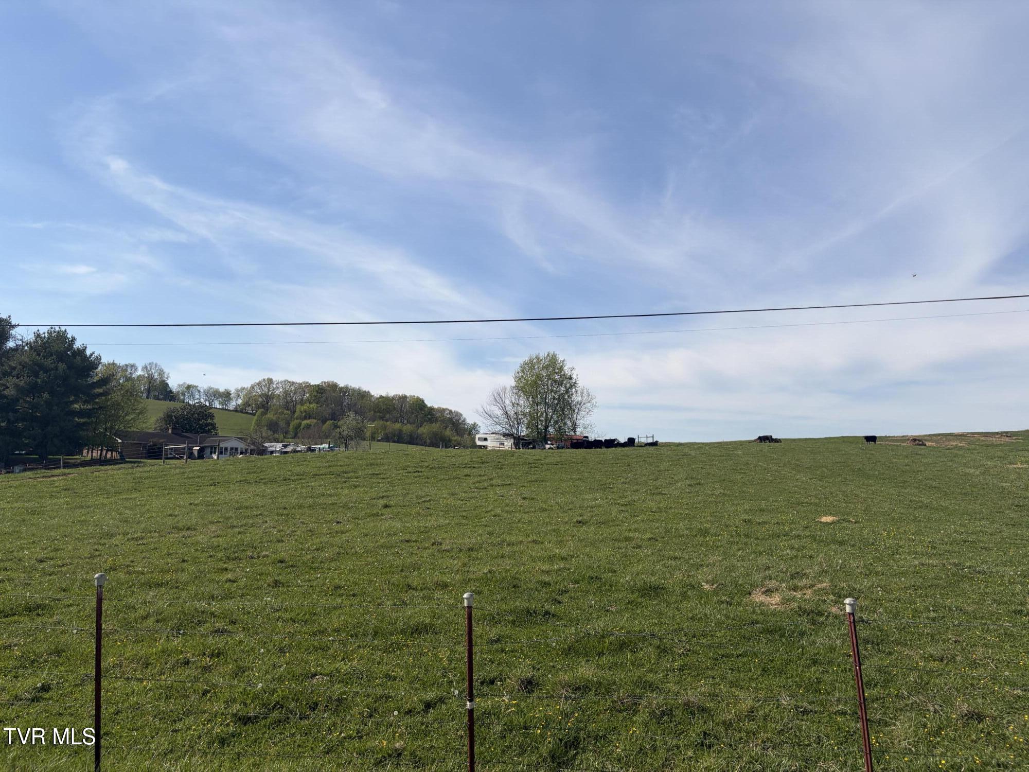 Lot 8 Ward Rowe Road, Unit 8 Limestone, TN 37681 - Photo 8 of 12 IMG_3922